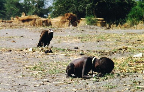 vulture