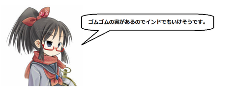 キャプチャ