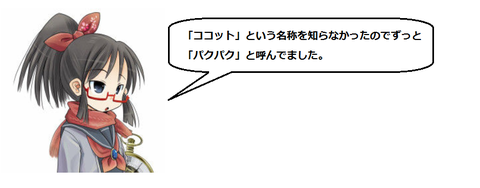 キャプチャ