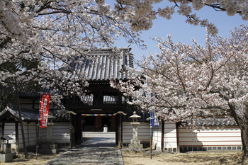 常光寺