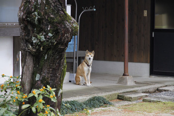 歓喜寺