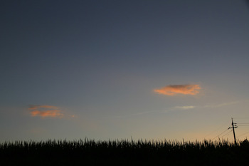 夕焼け