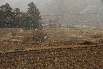 雪