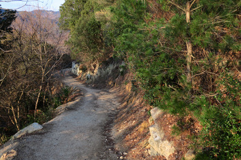 道