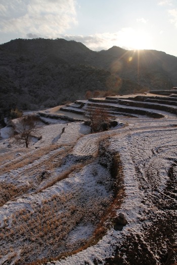 雪