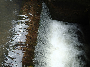 水