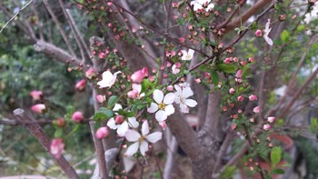 20140318_160122