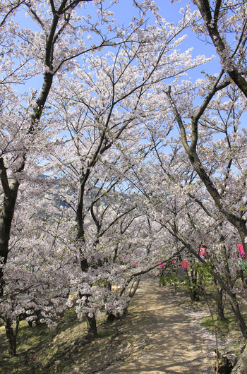 城山