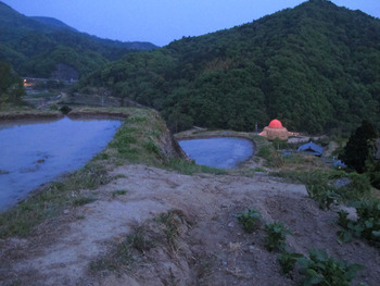 田んぼと小豆島の光