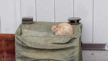 20140423_054728