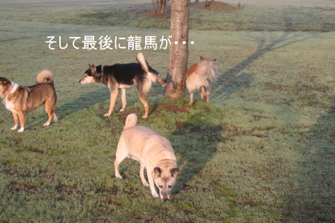 img20091128_4.jpg