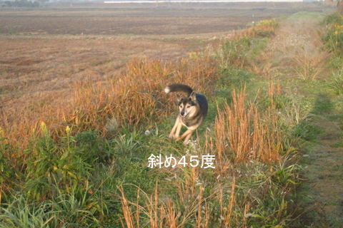 img20091128_1.jpg
