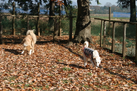 img20091208_2.jpg