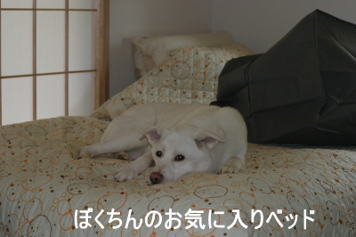 img20090907_5.jpg