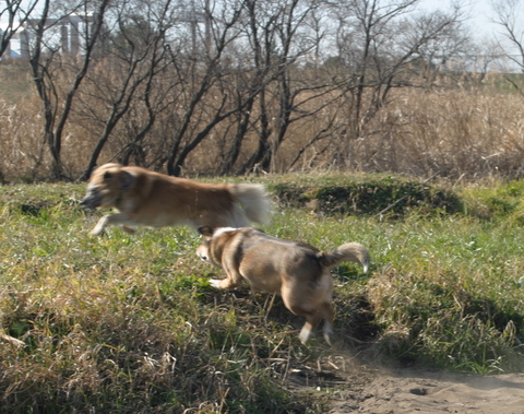 img20091222_1.jpg