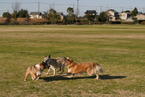 img_7786.jpg