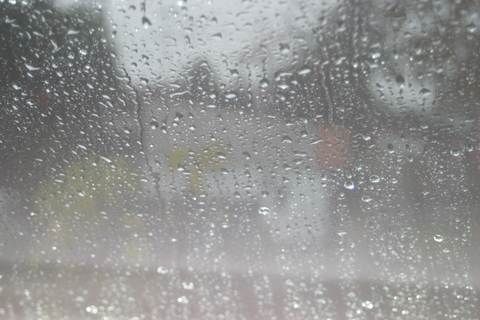 img20091207_1.jpg