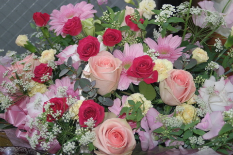img20100123.jpg