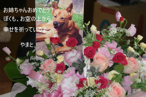 img20100123_1.jpg