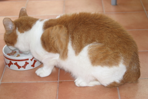 img20091130_2.jpg