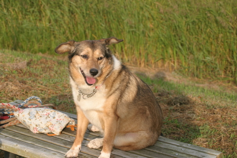 img20091004.jpg