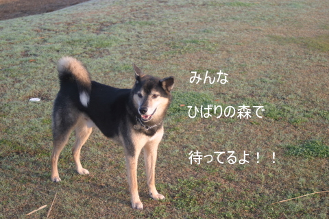 img20091128_5.jpg