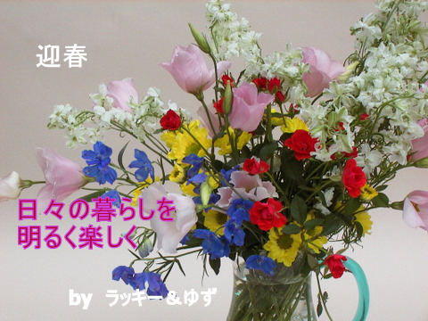 img20100110.jpg
