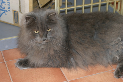 img20100213.jpg