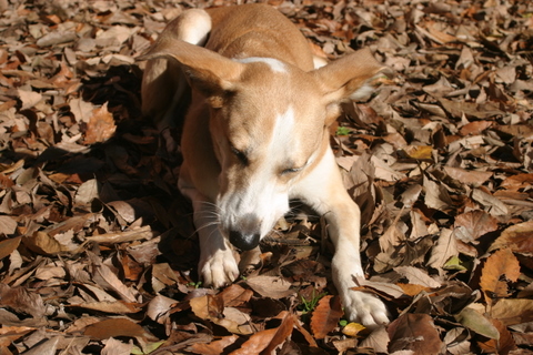 img20091208_3.jpg