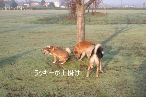 img20091128_3.jpg