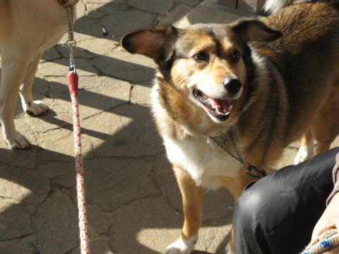 img20091129.jpg