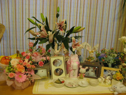 img20090427.jpg