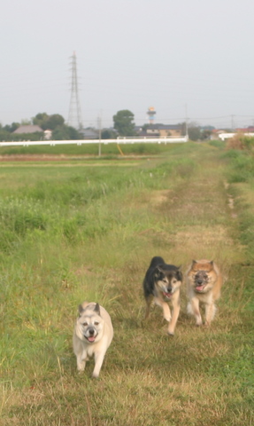 img20091004_1.jpg