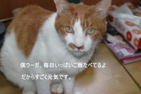 img20091130_1.jpg