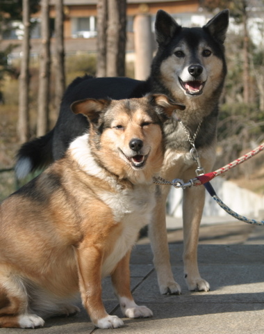 img20100211_1.jpg