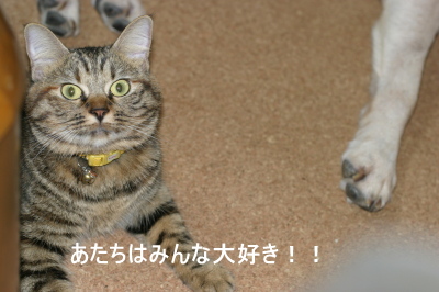img20090907_4.jpg