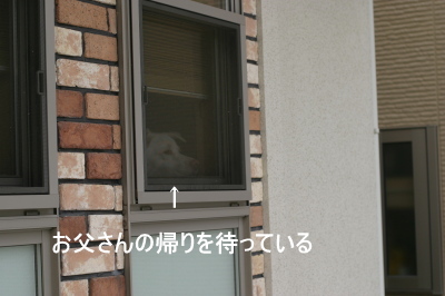 img20090907.jpg