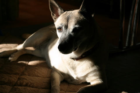 img_7630.jpg