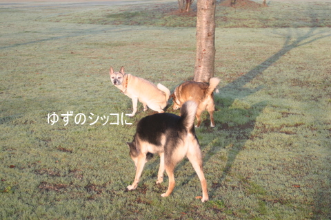 img20091128_2.jpg