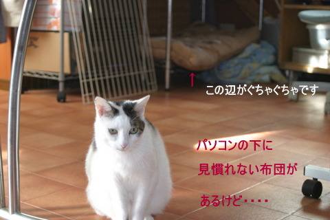 img20091202.jpg