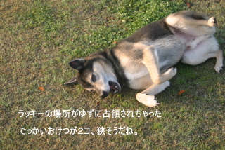 img20091209.jpg