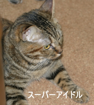img20090907_3.jpg