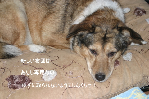 img20091202_1.jpg