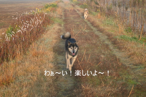 img20091128.jpg