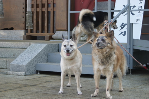 img20100209.jpg