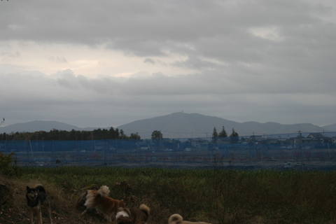 img20091207.jpg