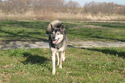 img20091222_2.jpg