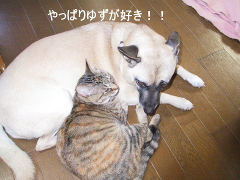 img20090428_1.jpg