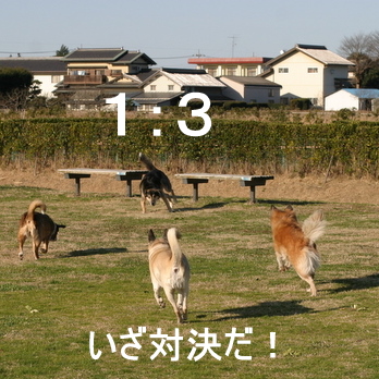 img_7724-2.jpg