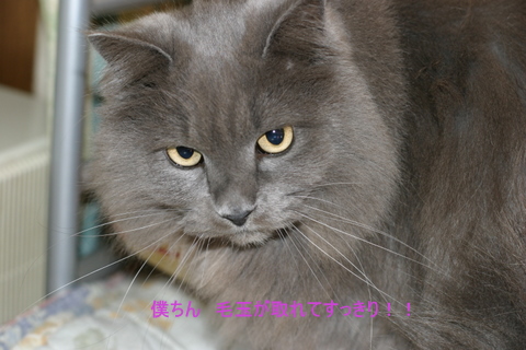 img_7672.jpg